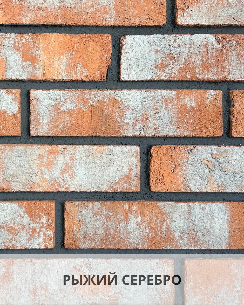 1777485199198